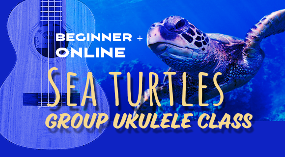 Sea Turtles Beginner Plus online ukulele Class Webinar