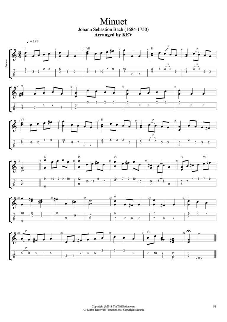 Bach Minuet in G for Low G